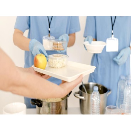 MANIPULADOR DE ALIMENTOS. SECTOR ACTIVIDADES AUXILIARES EN LA INDUSTRIA ALIMENTARIA. FCOM01