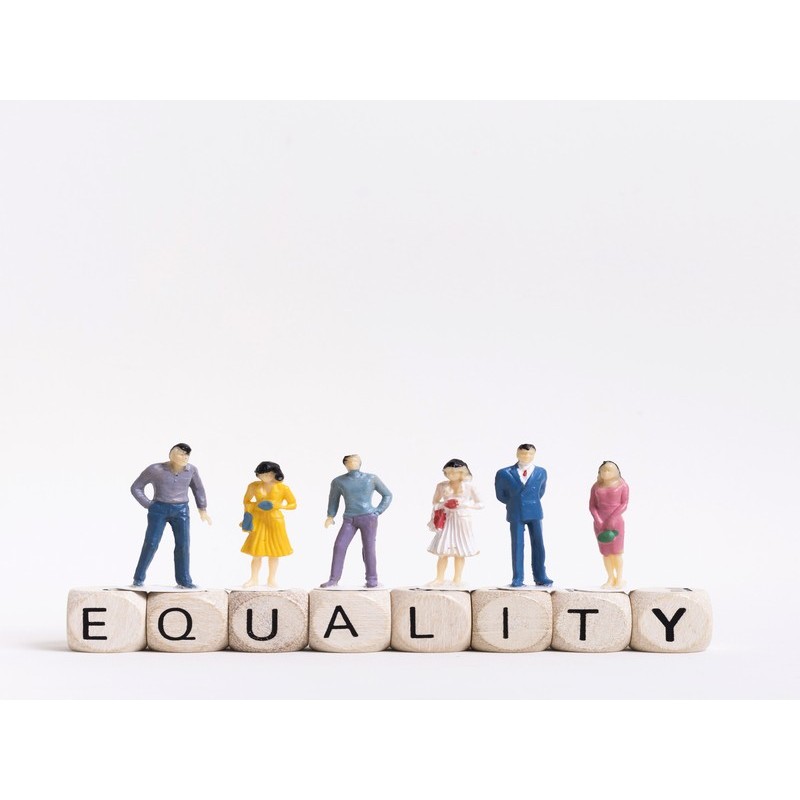 SENSIBILIZACIÓN EN LA IGUALDAD DE OPORTUNIDADES.