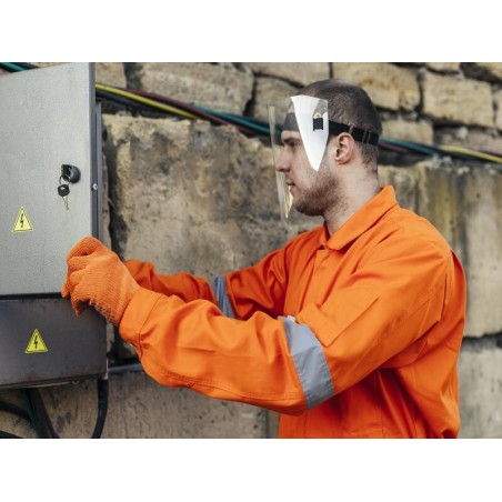 BÁSICO DE PREVENCIÓN DE RIESGOS LABORALES PARA EL SECTOR ELECTRICIDAD. FCOS02