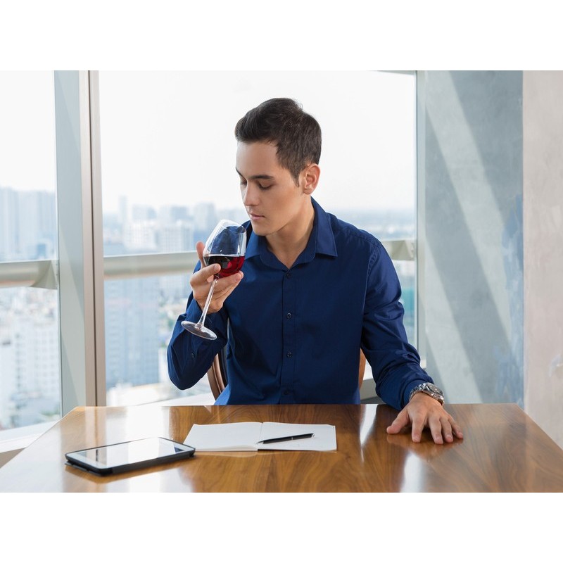 ANALISIS SENSORIAL DE VINOS