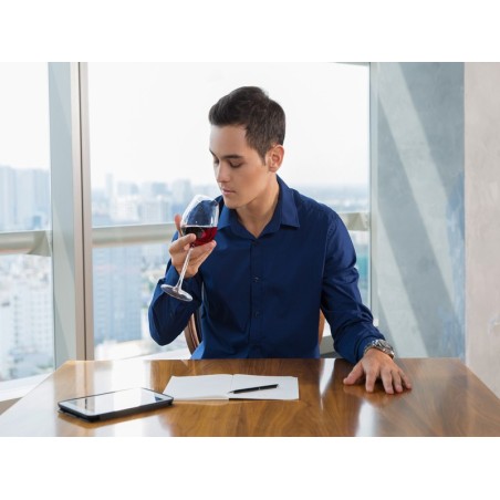 ANALISIS SENSORIAL DE VINOS