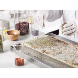 COCINA MOLECULAR:...