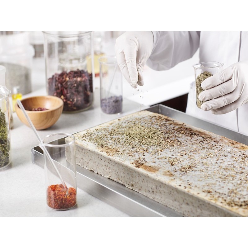 COCINA MOLECULAR: FUNDAMENTOS SOBRE LAS TÉCNICAS UTILIZADAS