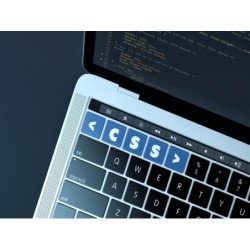 DESARROLLO DE PAGINAS WEB...