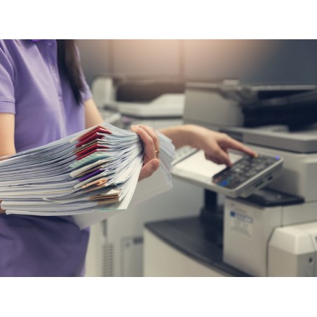 REPRODUCCIÓN Y ARCHIVO