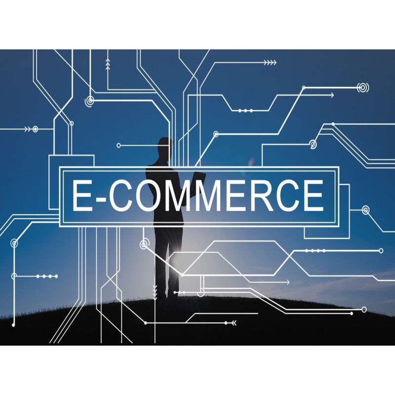EXPERTO WEB Y MULTIMEDIA PARA E-COMMERCE II