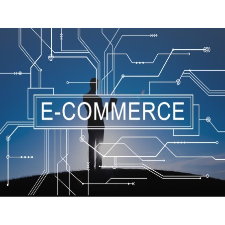 EXPERTO WEB Y MULTIMEDIA PARA E-COMMERCE II