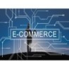 EXPERTO WEB Y MULTIMEDIA PARA E-COMMERCE II