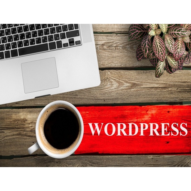 WORDPRESS