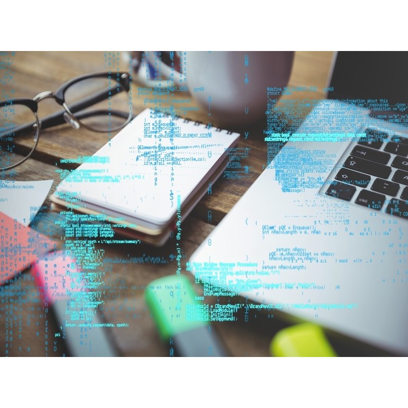 DESARROLLO DE COMPONENTES WEB JAVA EE5