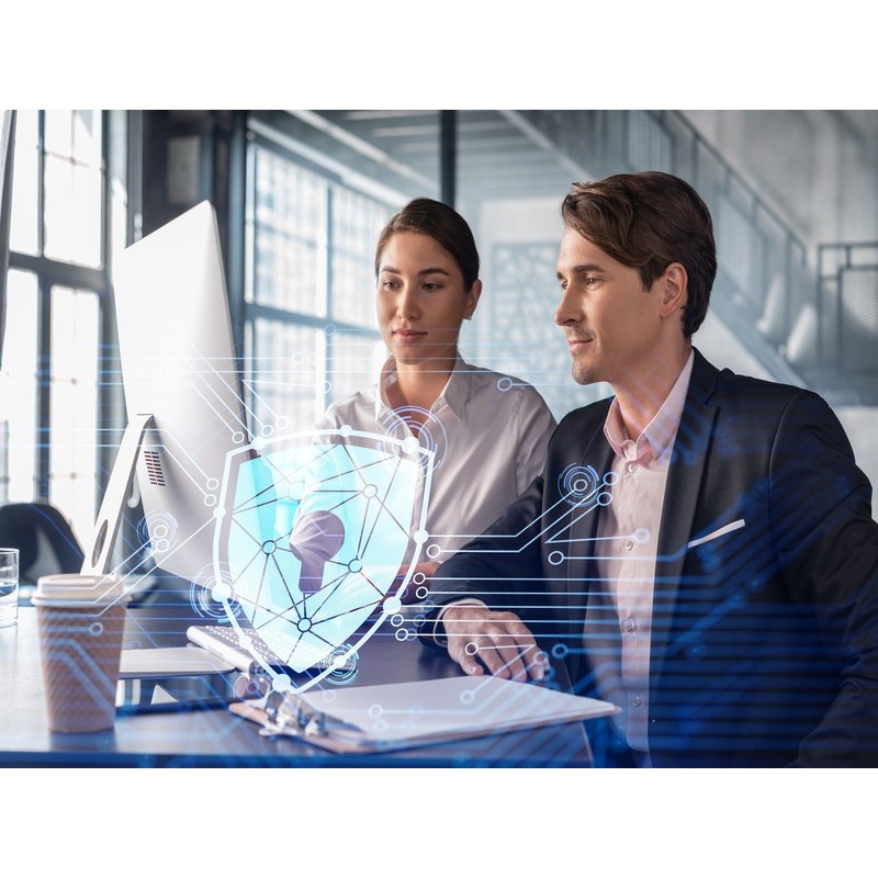 GESTIÓN DE LA SEGURIDAD INFORMÁTICA EN LA EMPRESA