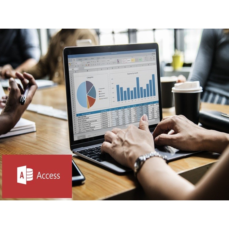 ACCESS. NIVEL AVANZADO