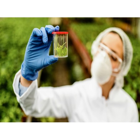 TRATAMIENTO CON PLANTAS MEDICINALES