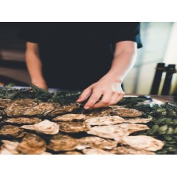 GESTIÓN DE ALÉRGENOS EN EL...