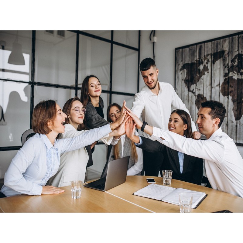 GESTIÓN DE EQUIPOS EFICACES: INFLUIR Y MOTIVAR