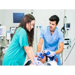 EL AUXILIAR DE ENFERMERIA:...