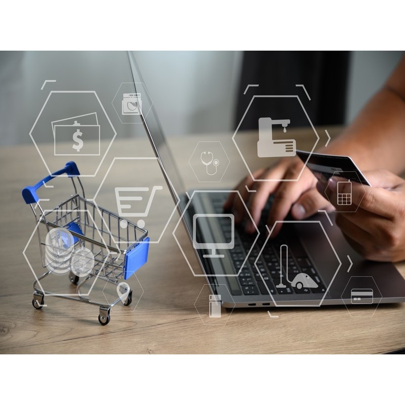 GESTIÓN DE LOS NEGOCIOS ONLINE 2.0.