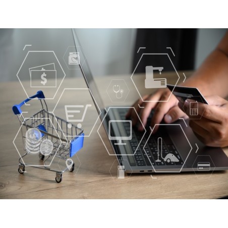 GESTIÓN DE LOS NEGOCIOS ONLINE 2.0.