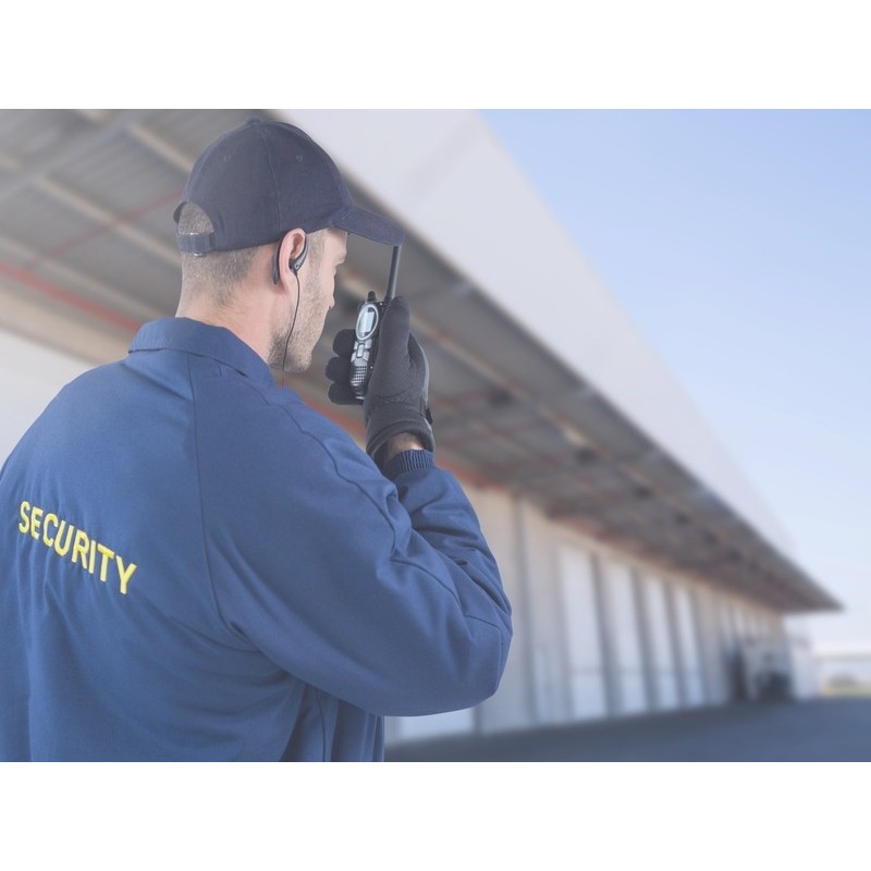 ACTUALIZACIÓN VIGILANTE DE SEGURIDAD